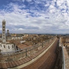 COMPLESSO MONUMENTALE DEL DUOMO DI SIENA - Aperture straordinarie ed eventi