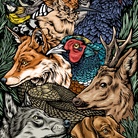 Lucamaleonte. Selva Lucamaleonte. Selva
