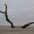 Stefano Benazzo. La Naturalezza dell'Istante