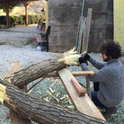 Mattia Bosco. Fiori violenti: fototropismo verso la forma