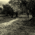 Sopraluoghi in Lucania. Sulle tracce del Vangelo Secondo Matteo di Pier Paolo Pasolini