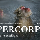 Ipercorpo. Festival internazionale delle arti dal vivo. XVI Edizione - La pratica quotidiana